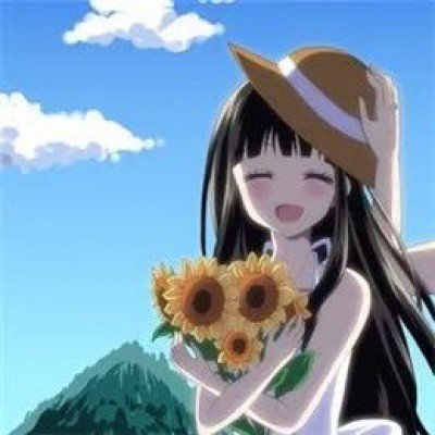 象群现身云南 村民：没觅食匆匆走了